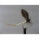 flyline mayfly