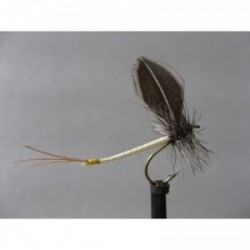 flyline mayfly
