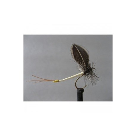 flyline mayfly