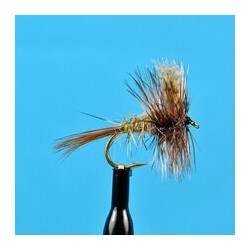 American March Brown