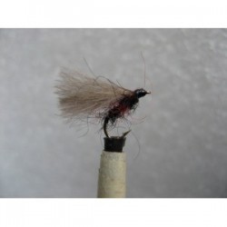 bibio cdc f fly