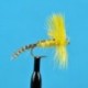 Big Yellow May Dun