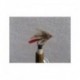 gold body red tag muddler