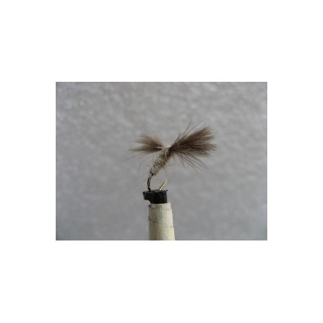 Spinner Hares Ear Cdc