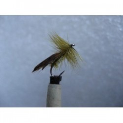 tape wing caddis olive sedge