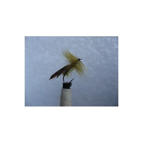 tape wing caddis olive sedge