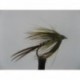 hackled mayfly