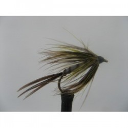 hackled mayfly