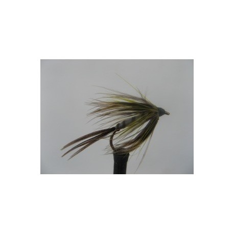 hackled mayfly