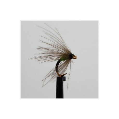 annorexic green spider