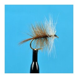 Brown Bivisible