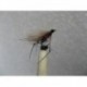 bibio adult cdc buzzer