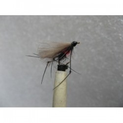 bibio adult cdc buzzer