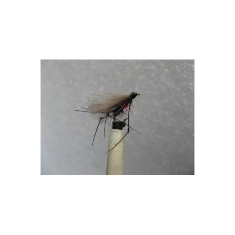 bibio adult cdc buzzer
