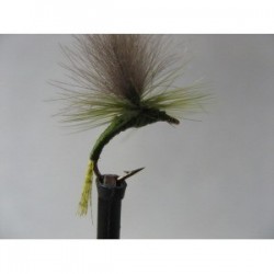 ians olive cdc para dry emerger