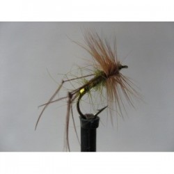 ians olive oil hopper