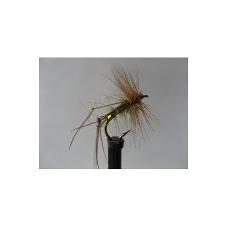 ians olive oil hopper