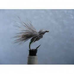 bullet head caddis sedge
