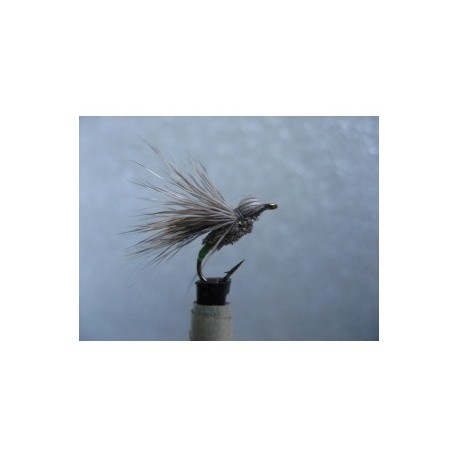 bullet head caddis sedge
