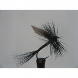 black quill dry