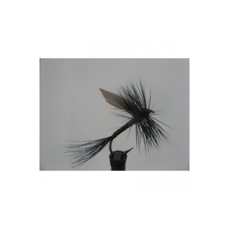 black quill dry