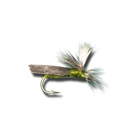 Parachute Caddis Olive