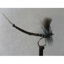 cdc detached mayfly