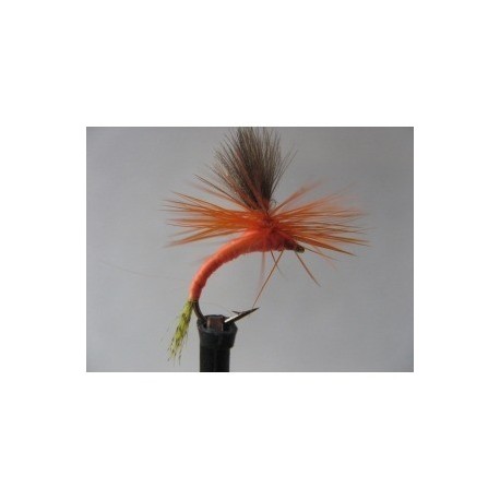 ians orange cdc para dry emerger
