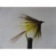 yellow dabbler