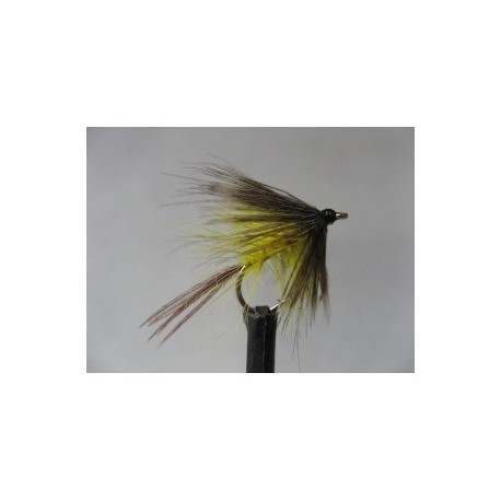 yellow dabbler