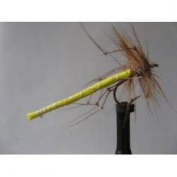 ians detached yellow daddy