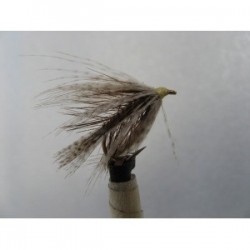 yellow owl dabbler