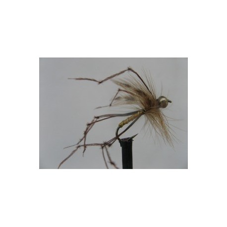 gold head standard daddy