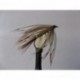 french partridge mayfly