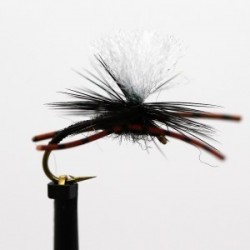 leggy black klinkhammer