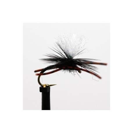 leggy black klinkhammer