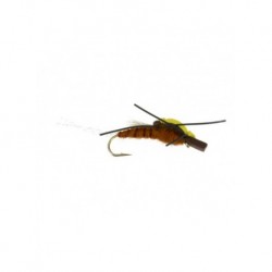 floating stonefly brown
