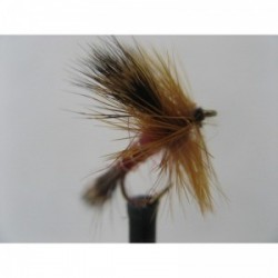 wulff red sedge