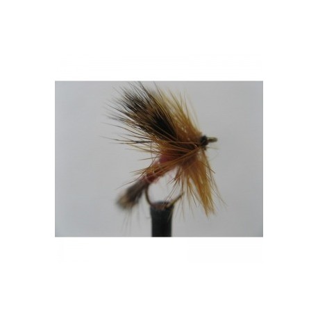 wulff red sedge