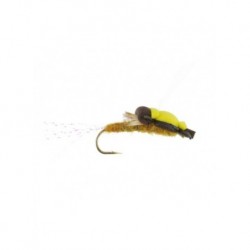 floating stonefly golden