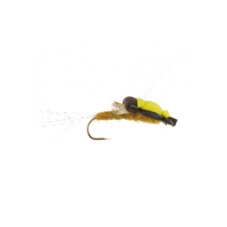 floating stonefly golden