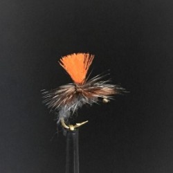 adams grey klinkhammer