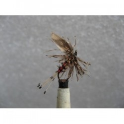 hardies favourite dry