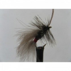 black cdc high rider