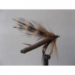 foam fiery brown daddy