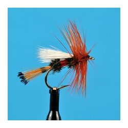 Royal Coachman Trude