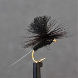 all black klinkhammer