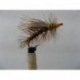 stimulator oilve sedge