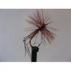 ginger holo pearl hopper