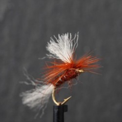 fiery brown shipmans para dry